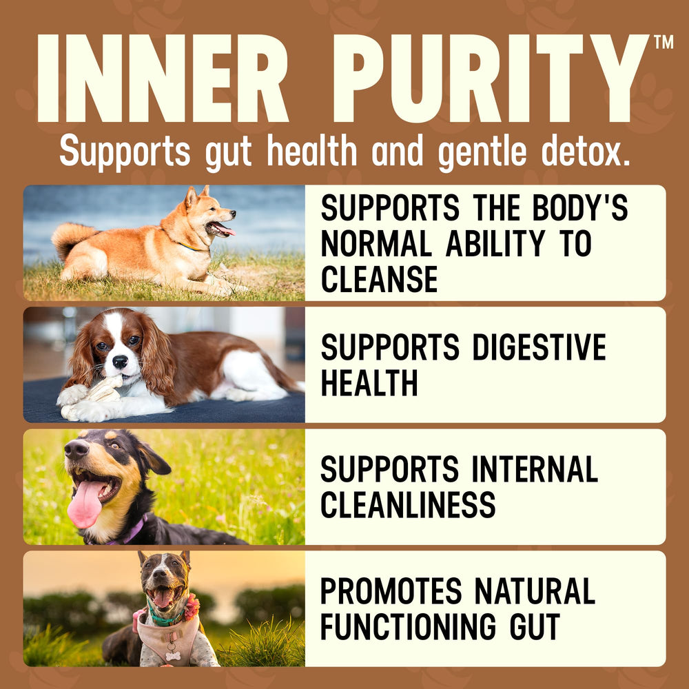 Inner Purity poudre digestion – texture fine, mélange facile dans la nourriture.