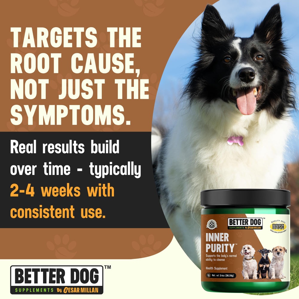 Inner Purity utilisation quotidienne – s’intègre facilement dans la routine canine.