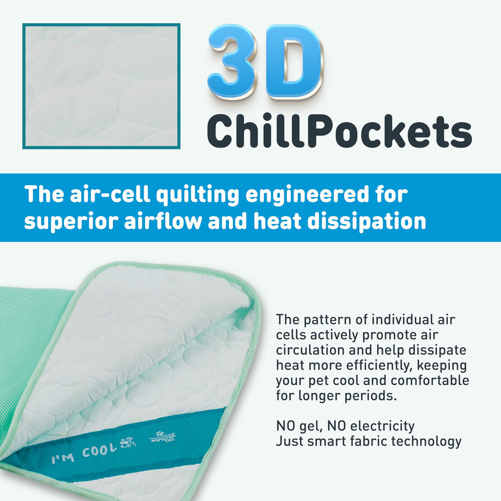 INSPECTOR TAIL Sac de transport menthe, pratique pour emporter le tapis.