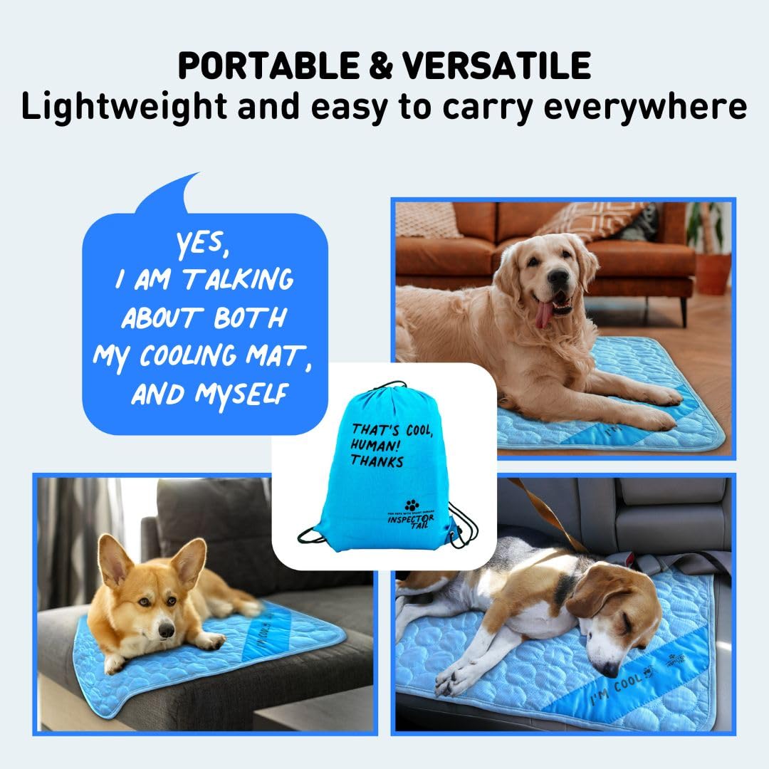 Inspectortail tapis polyvalent pour kennel et canapé bleu – usage intérieur et extérieur.