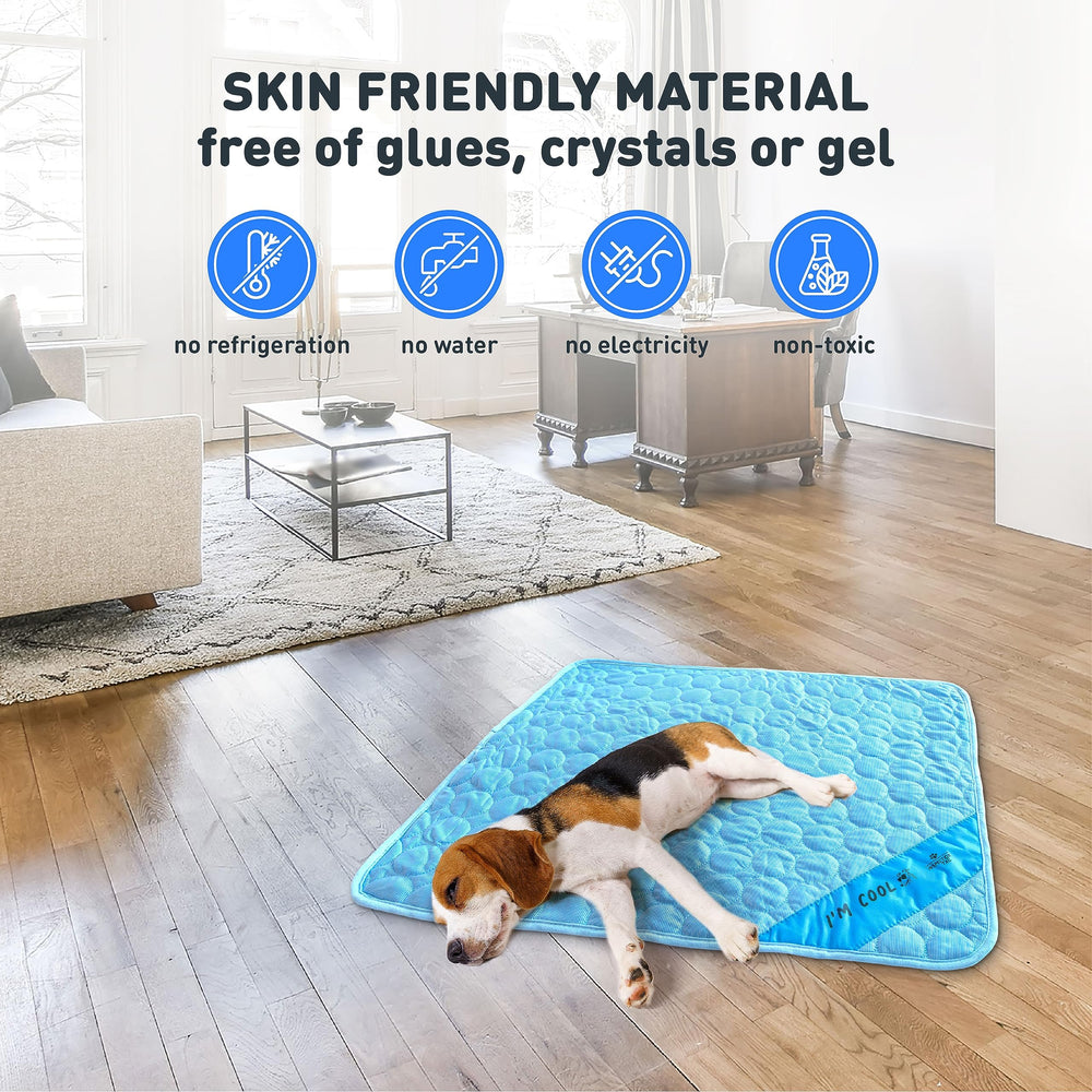Inspectortail tapis pour véhicule bleu – idéal pour le confort en voiture.