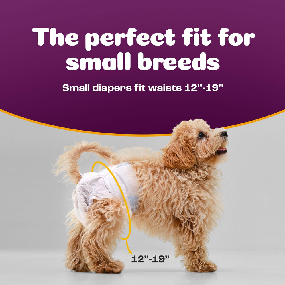 Pack économique Inspire, protections pour chiennes femelles 50 unités pratique et économique.