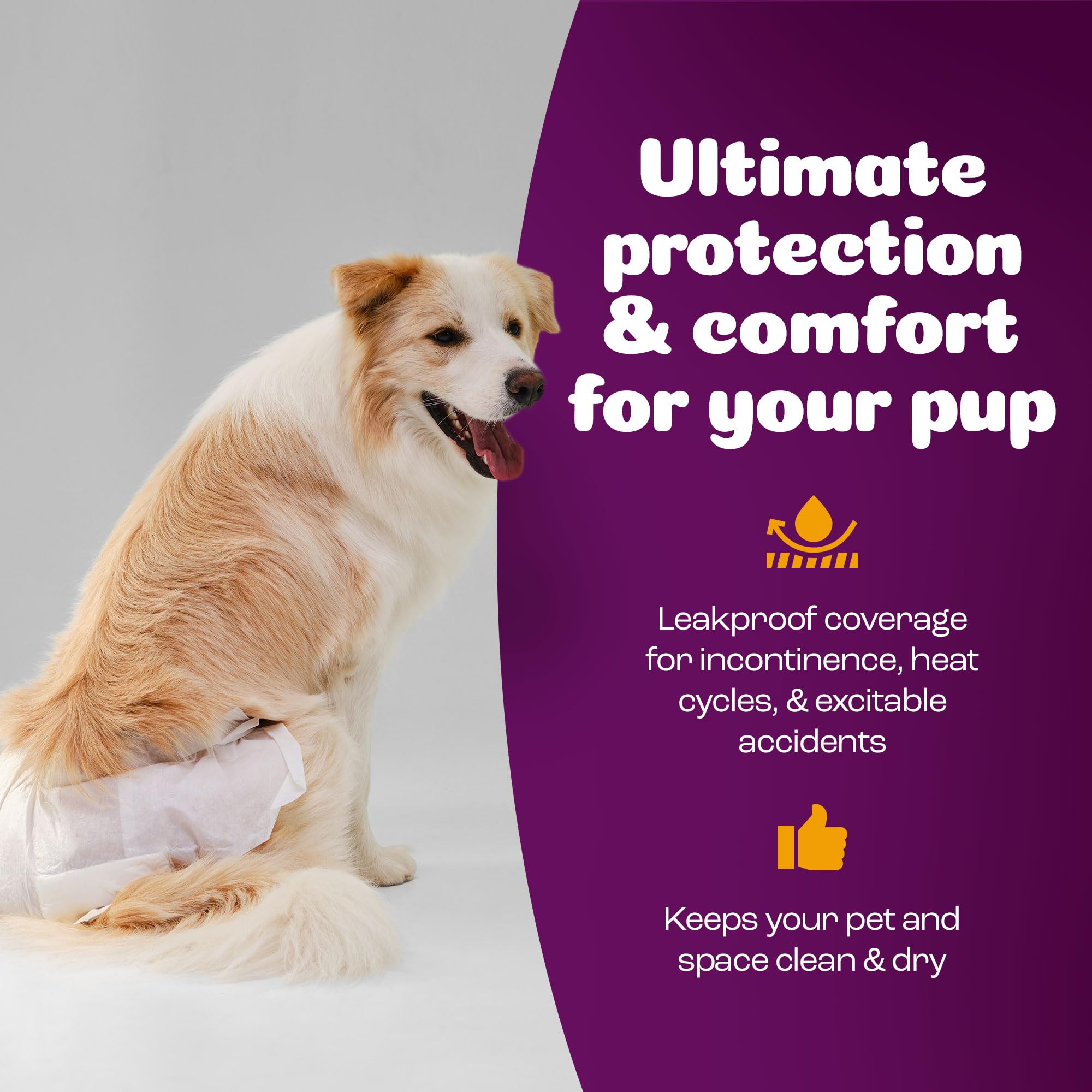 Lot économique Inspire Pet Care pour une gestion pratique et répétée.