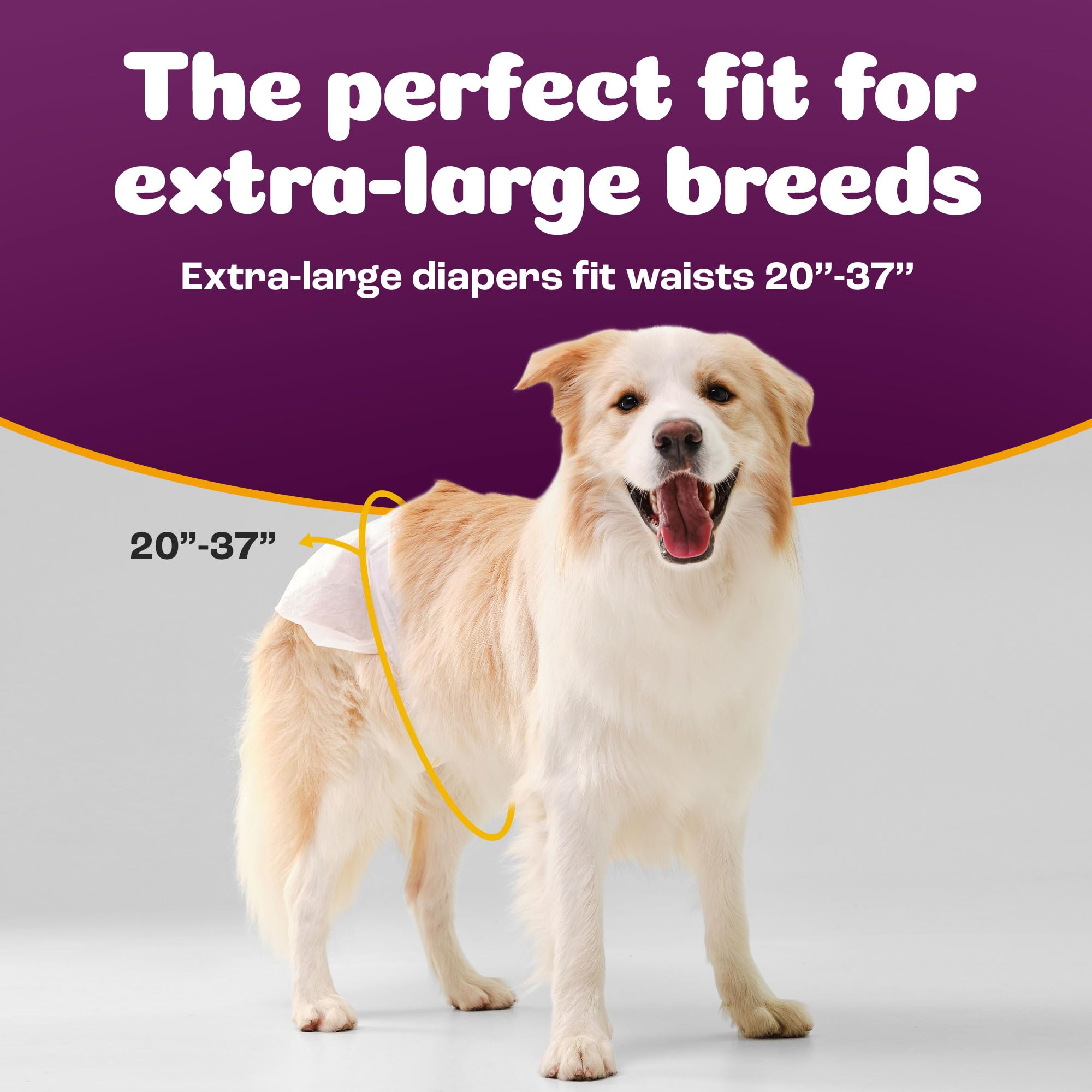 Paquet de couches Inspire Pet Care pour chien femelle XL, valeur et réapprovisionnement