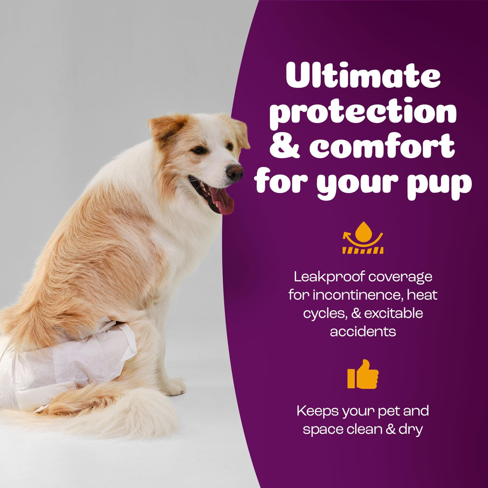 Solution Propreté Inspire Pet Care au quotidien
