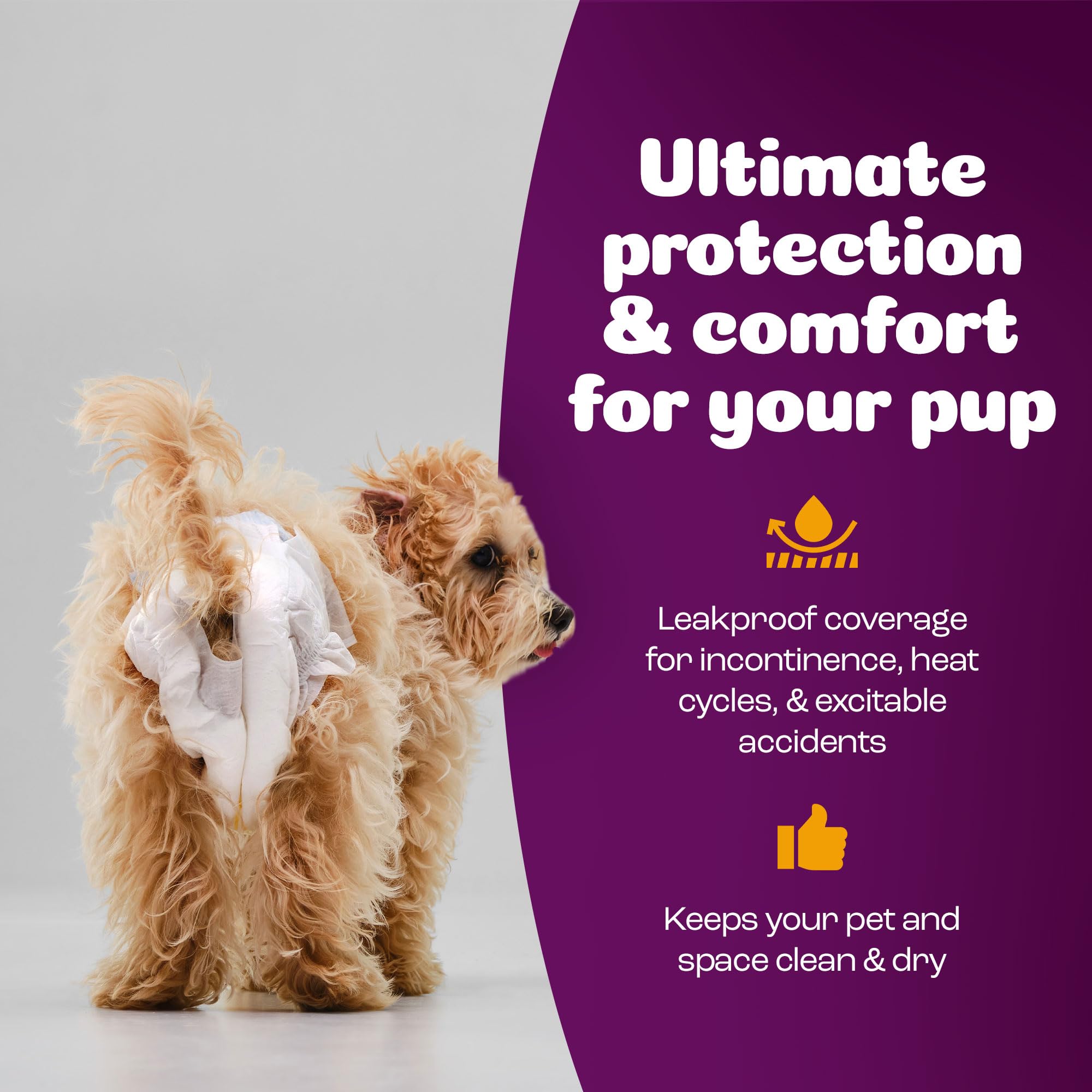 Protections Inspire pour chiennes femelles usage quotidien, propreté simplifiée.
