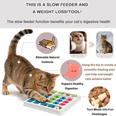 InsRakio système alimentation lente pour chats, favorisant une dégustation plus calme.