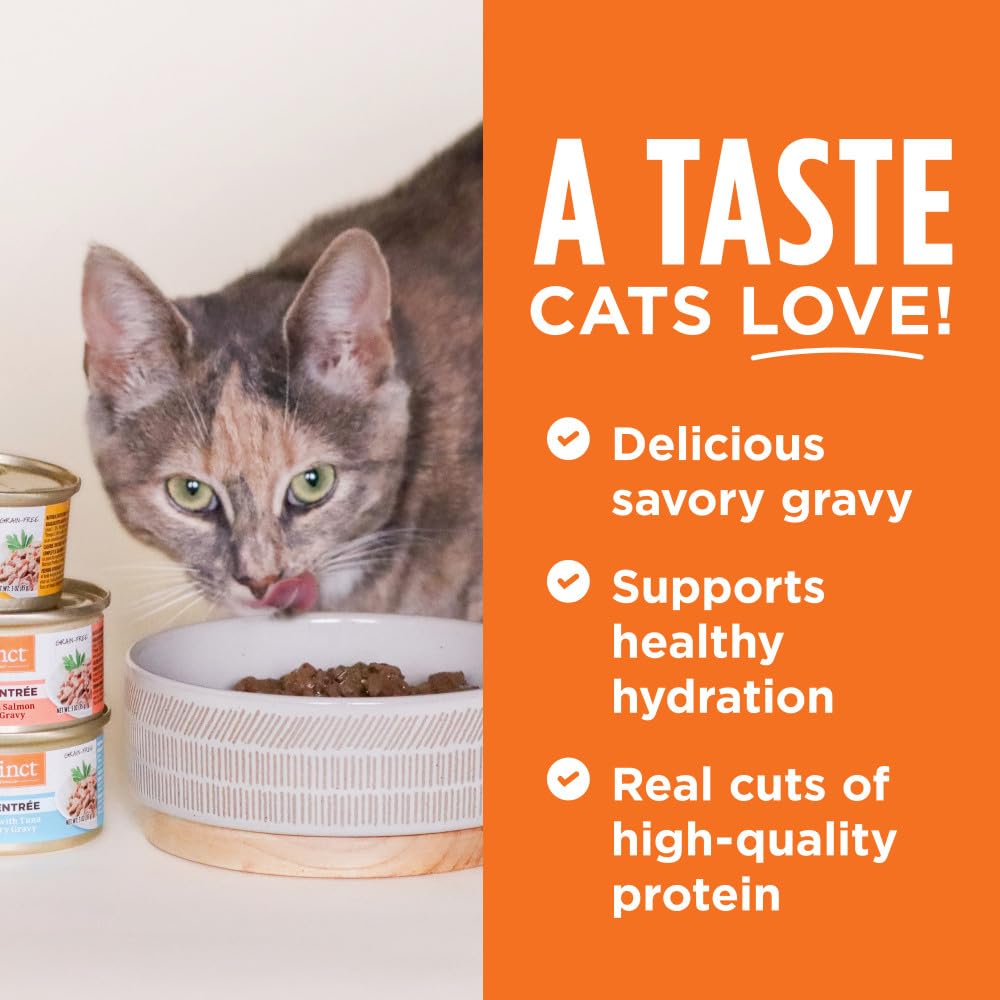 Canard cage-free d'Instinct dans sauce savoureuse pour chat