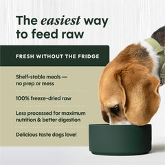Instinct FreshDried Bites, portion pratique pour repas équilibré.
