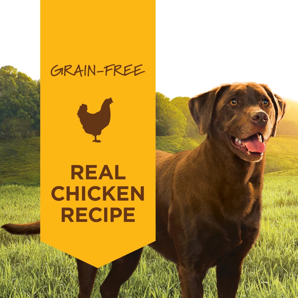 Instinct Original – proteines-elevees-poulet, soutien potentiel des muscles.