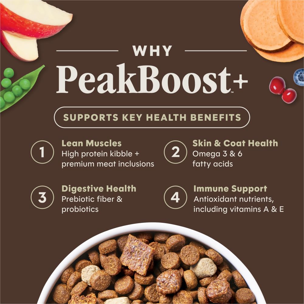 Instinct PeakBoost – morceaux proteines variés pour repas plus stimulant