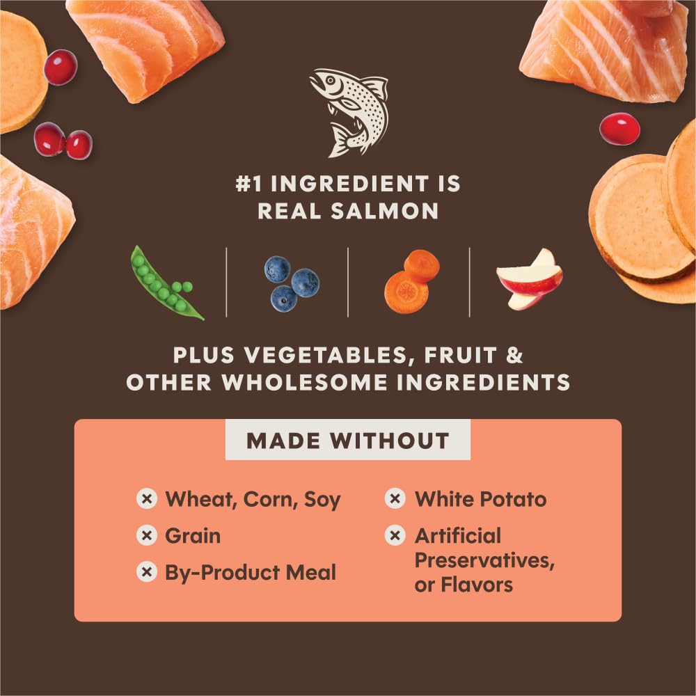 Tranches de viande séchée riches en protéines pour le goût.