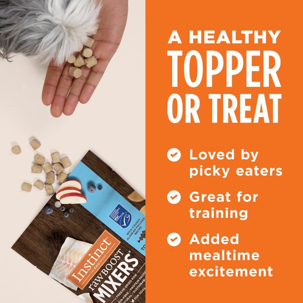 Bol de chien transformé avec le topping Instinct Raw Boost Mixers.