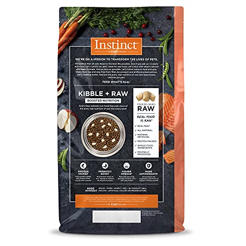 Morceaux saumon lyophilisés pour chat, texture variée et goût riche.