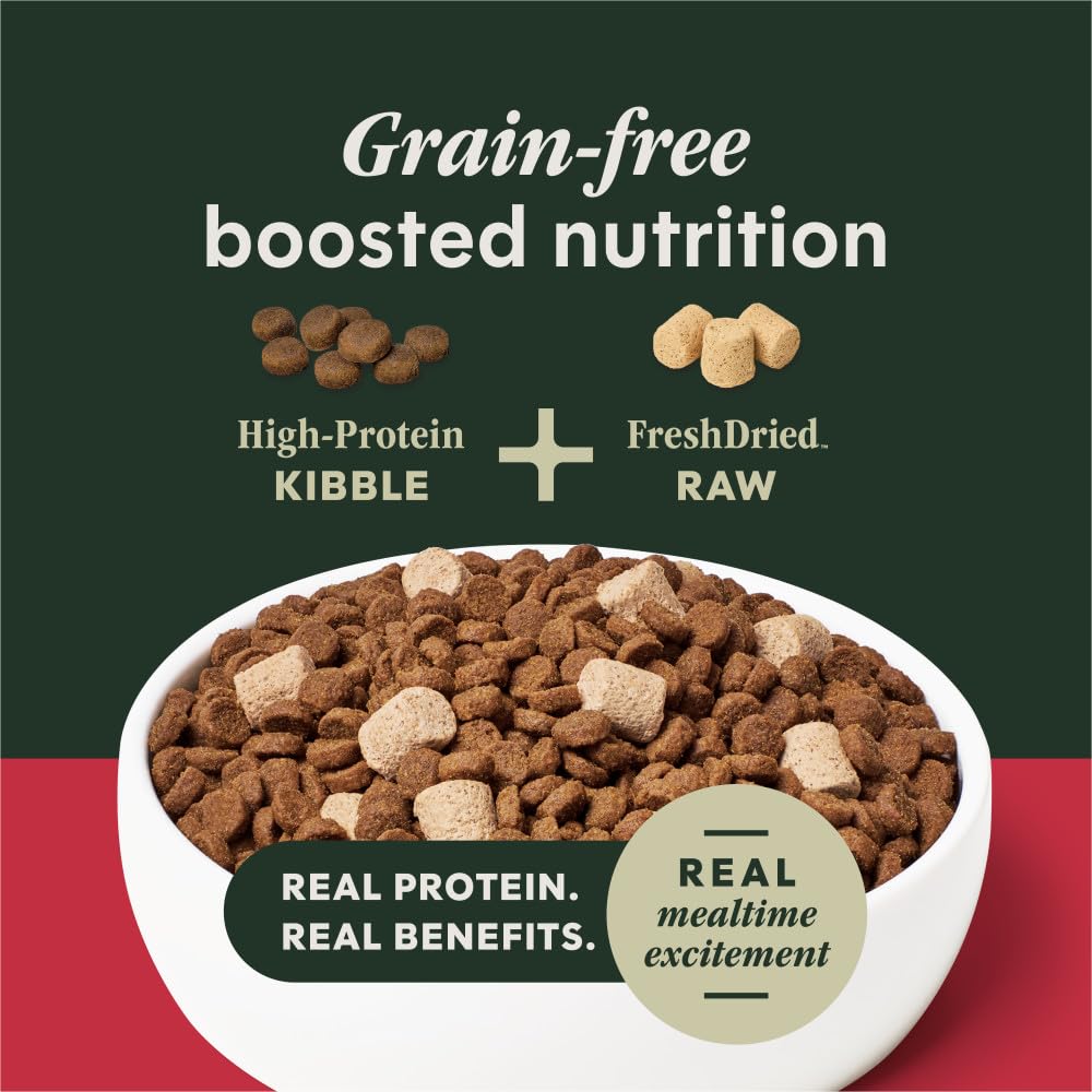 Croquettes et texture variée : expérience alimentaire attrayante pour chien.
