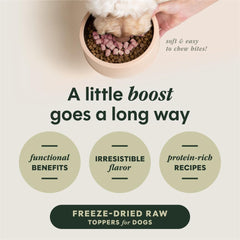 Flacon huile saumon Instinct RawBoost : oméga potentiels pour la vitalité