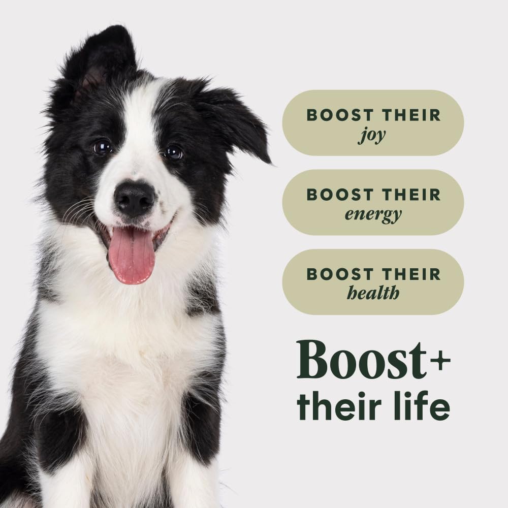 Instinct RawBoost chiot : DHA pour le développement cérébral et visuel.