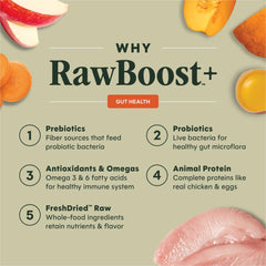 Texture croquettes d'Instinct RawBoost pour chien croquant et appétissant