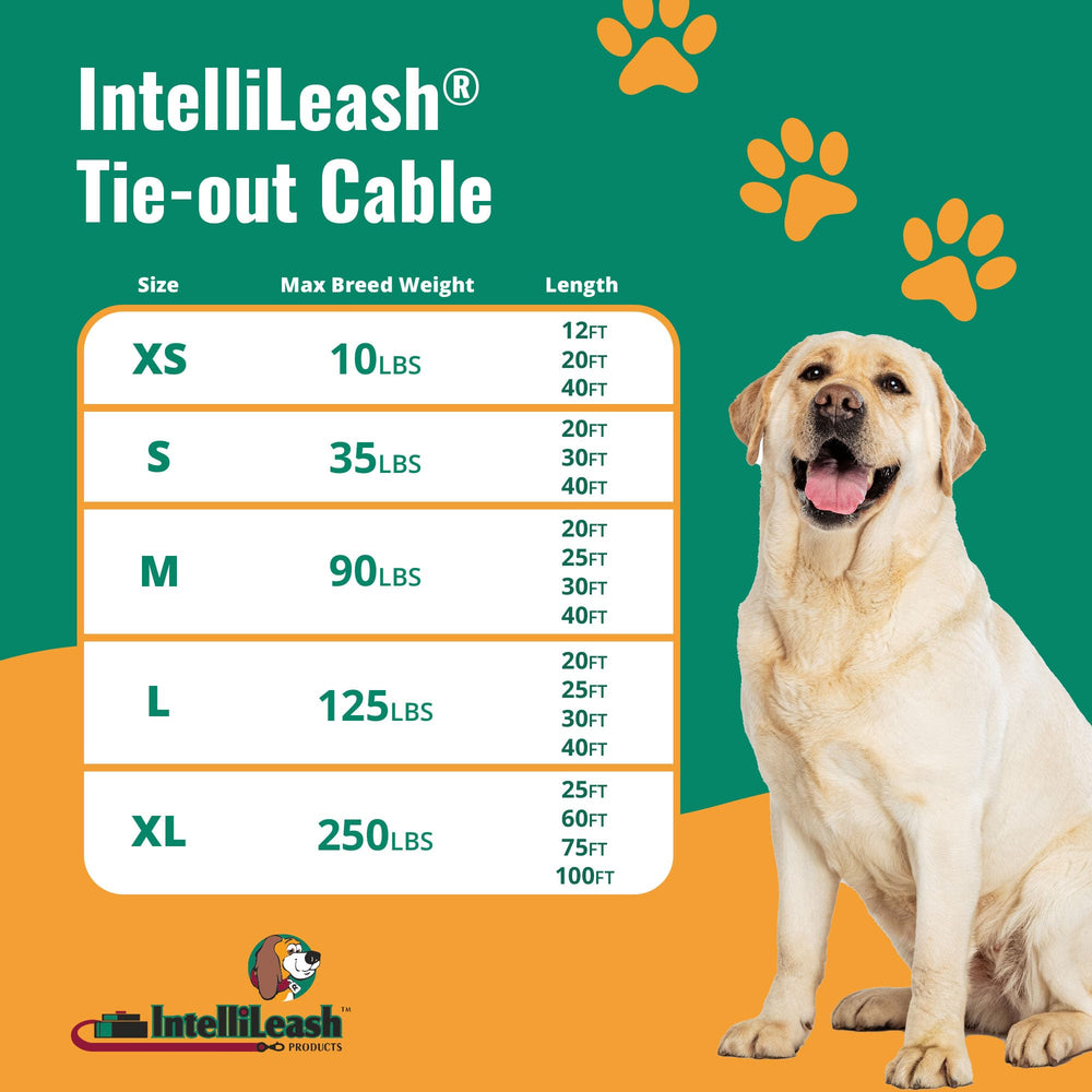 Intellileash montre le câble extérieur durable, parfait pour les activités en plein air.