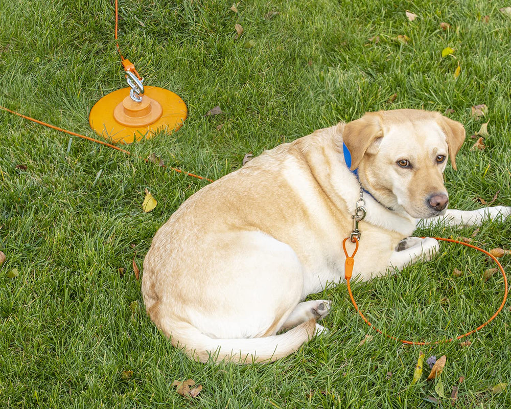 Intellileash fonctionne avec le stake Intelli-Stayk pour un ensemble sûr.