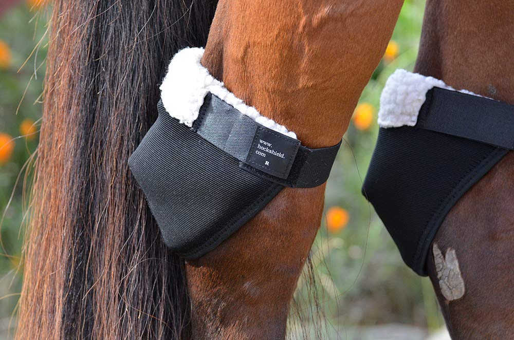 La doublure polaire douce du Click Horse Hock Shield offre un confort ciblé autour du jarret.