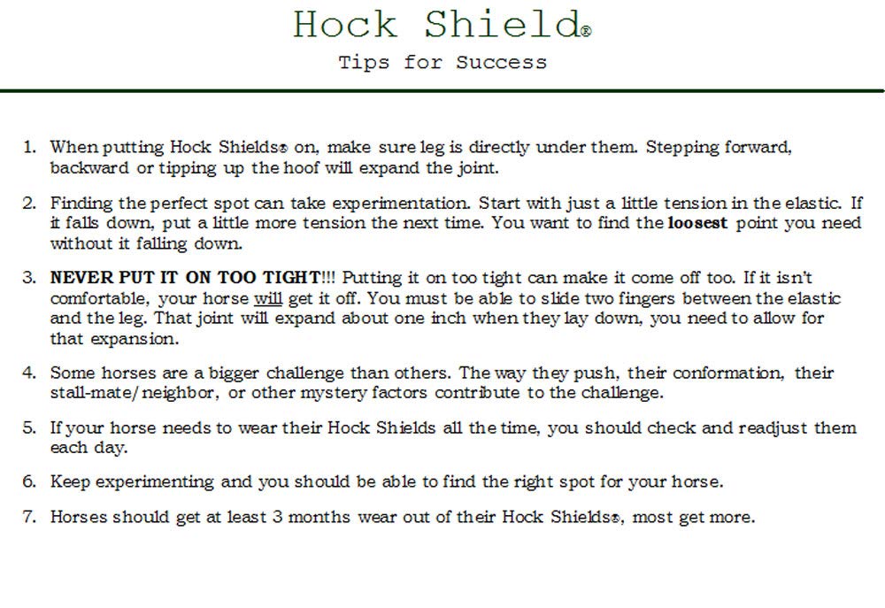 La coque en néoprène résistant du Click Horse Hock Shield assure une protection durable.