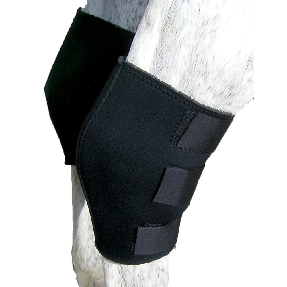 Intrepid International Bottes de jarret en néoprène respirantes pour chevaux, soutien et protection.