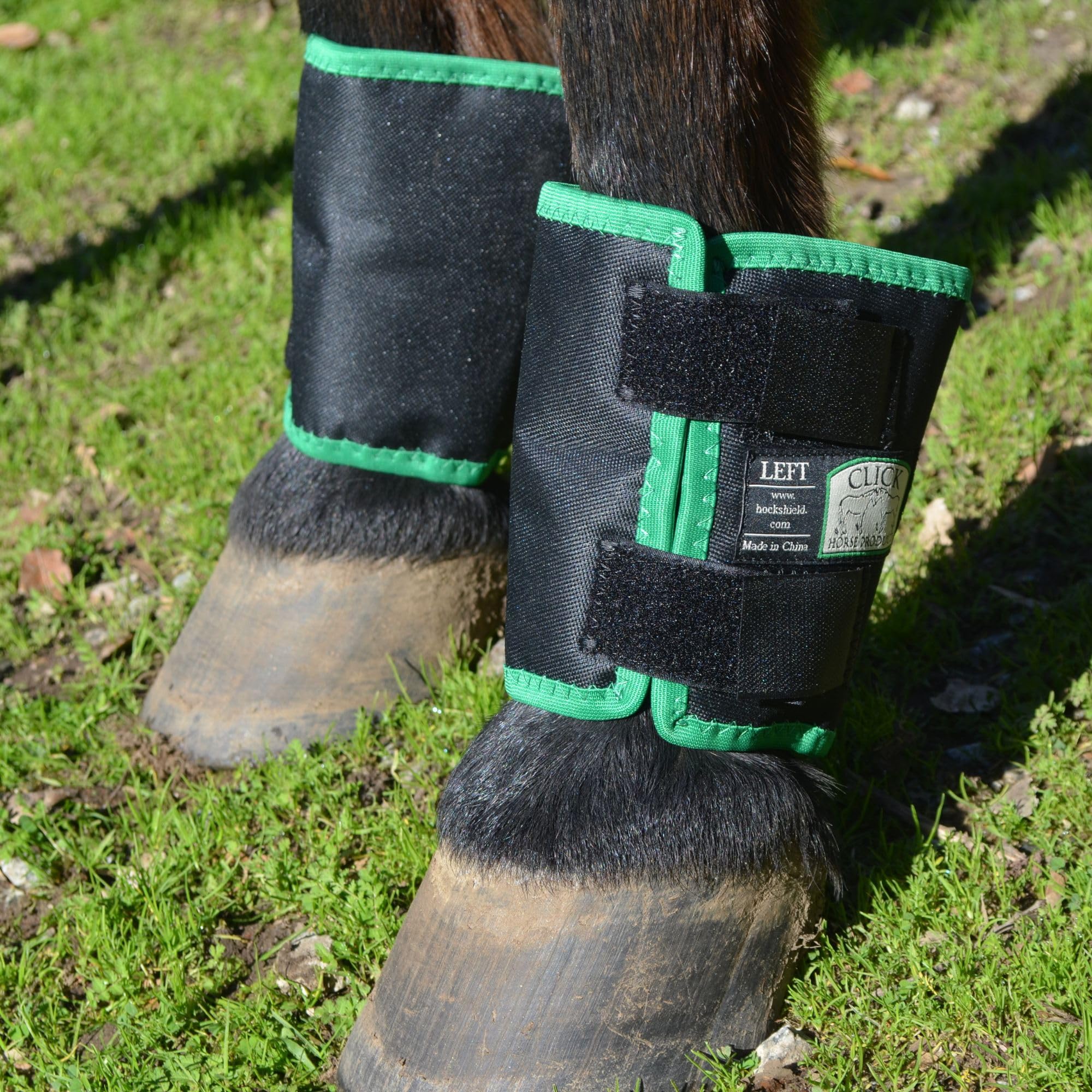 Intrepid International Click Fetlock Shield – noir avec liseré vert, design pratique et résistant