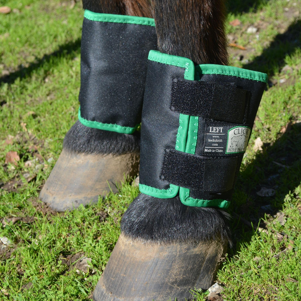 Intrepid International Click Fetlock Shield – noir avec liseré vert, design pratique et résistant