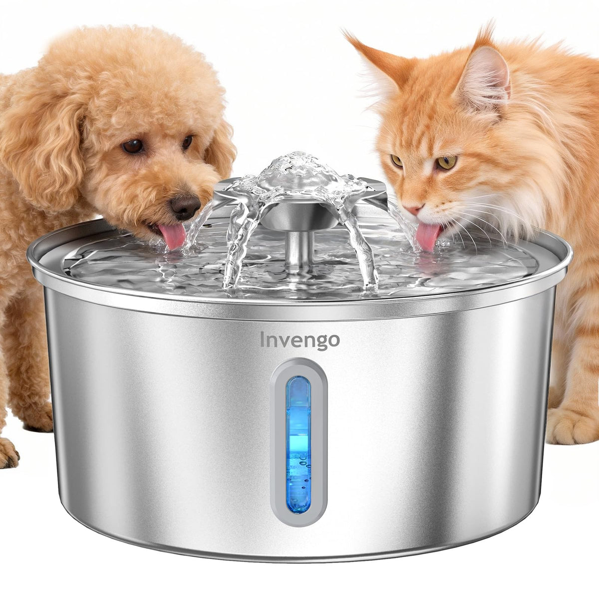 Invengo fontaine eau inox 3,2 L pour chats et chiens, hydratation durable.