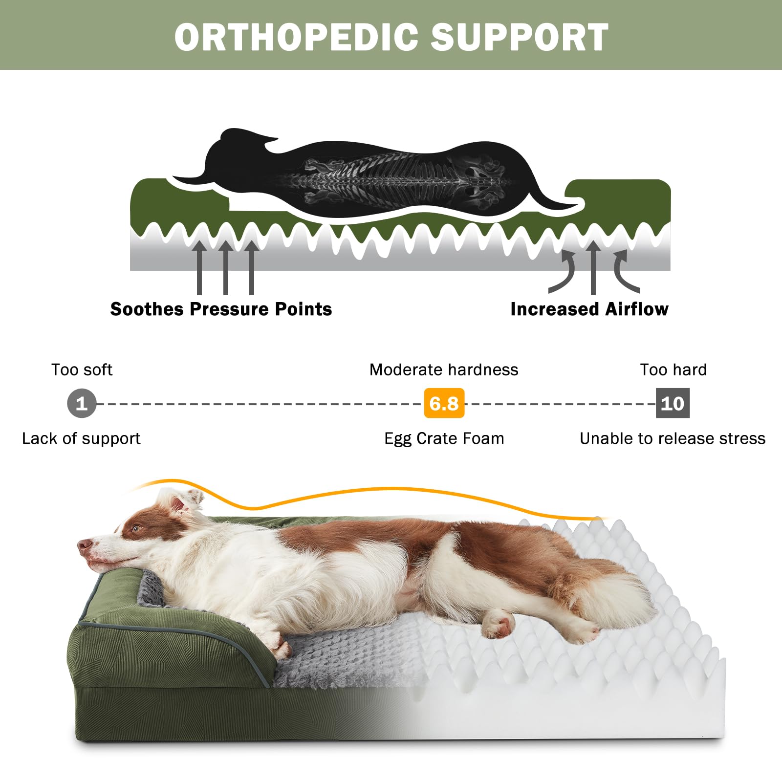 INVENHO lit chien coussin-dos soutien pour posture
