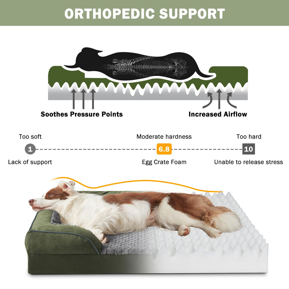 INVENHO lit chien coussin-dos soutien pour posture