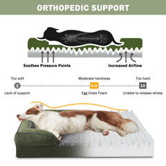 INVENHO lit chien coussin-dos soutien pour posture