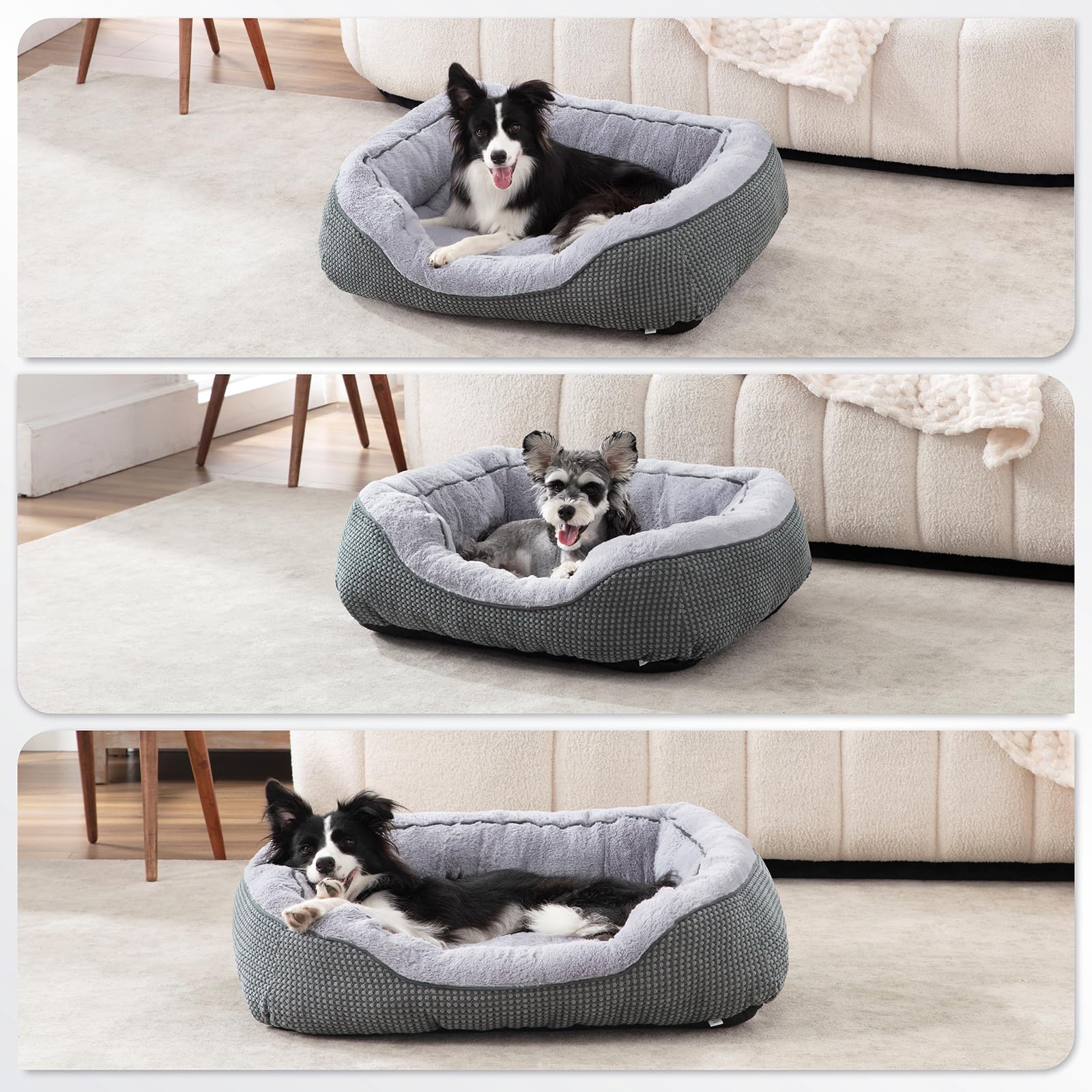 INVENHO lit chien moyen taille M 30x24x9 pour chiens moyens