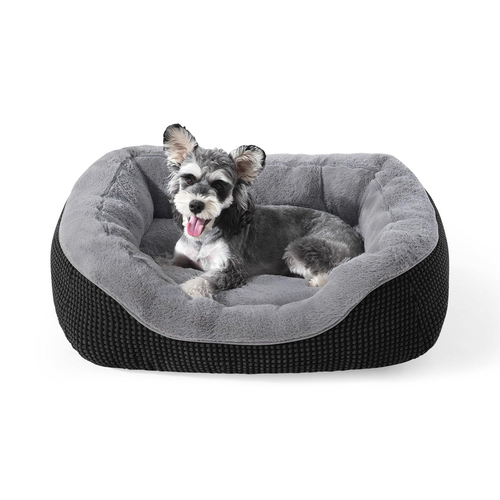 Lit INVENHO petit anti-glisse, base stable pour la sécurité du chien.