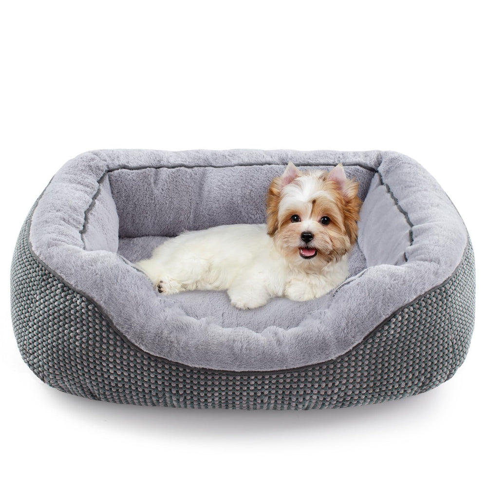 Lit INVENHO pour chien petit, surface douce et repos immédiat.