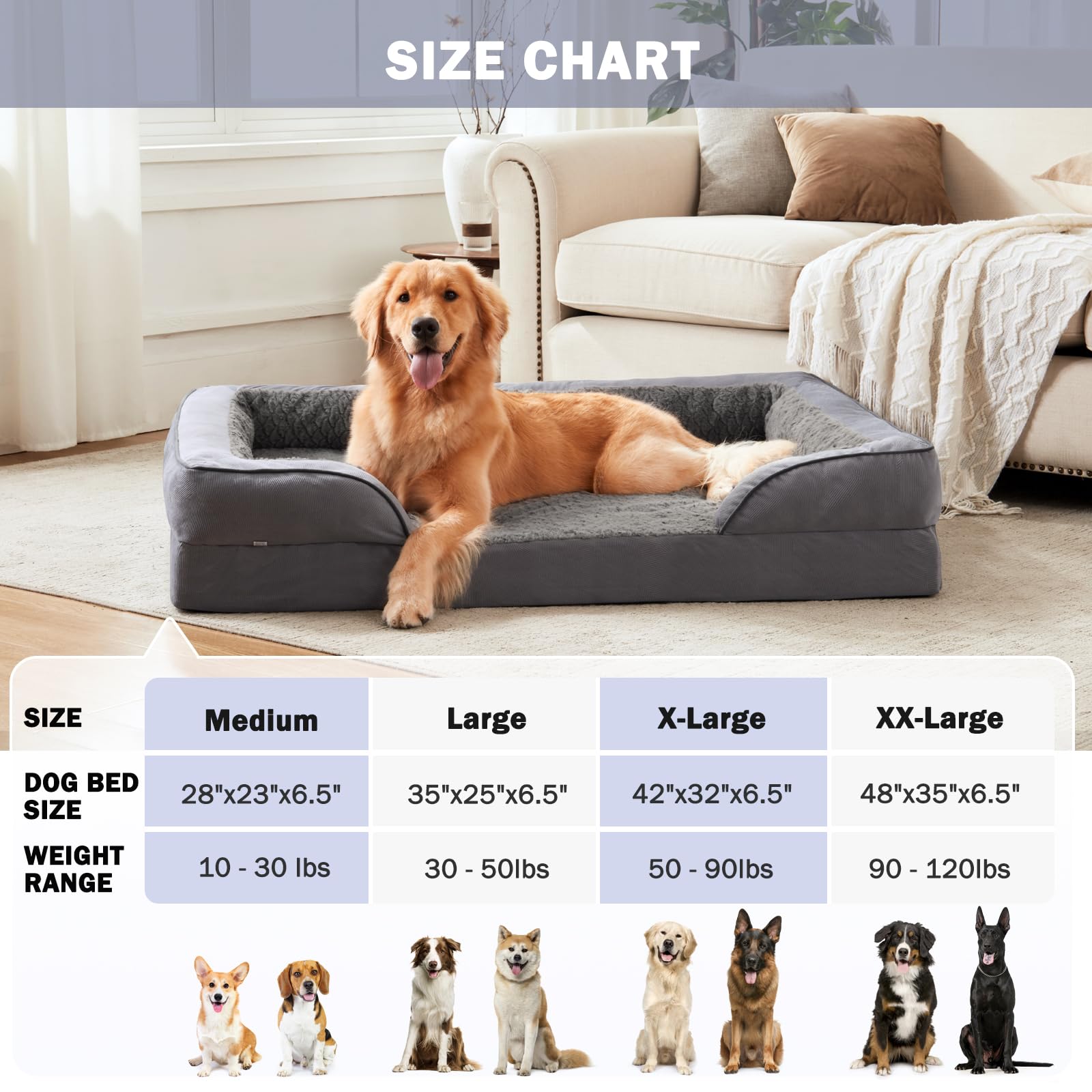 INVENHO lit chien en utilisation quotidienne, confort et stabilité.