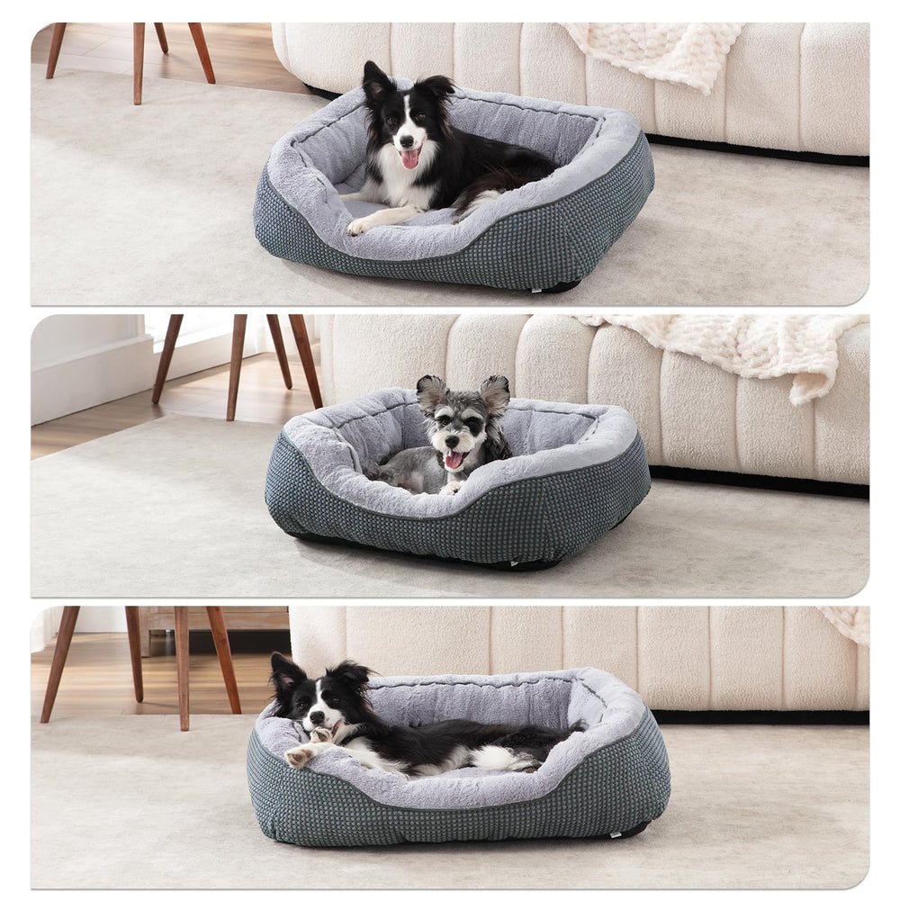 INVENHO tailles-disponibles, choix adapté à chaque chien.