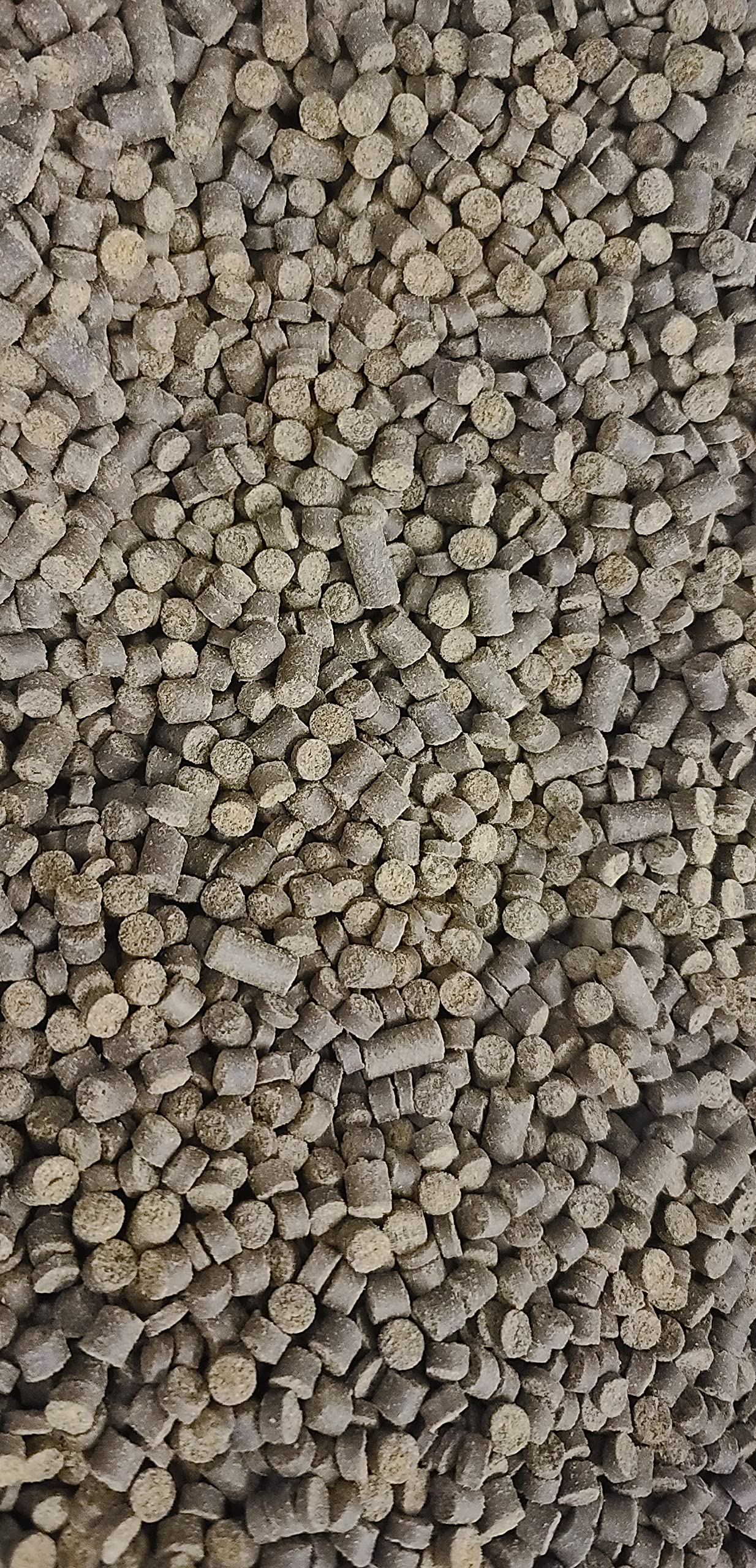 Invert Aquatics Axolotl Big Bites : pellets-aromatiques, stimulation sensorielle lors des repas.