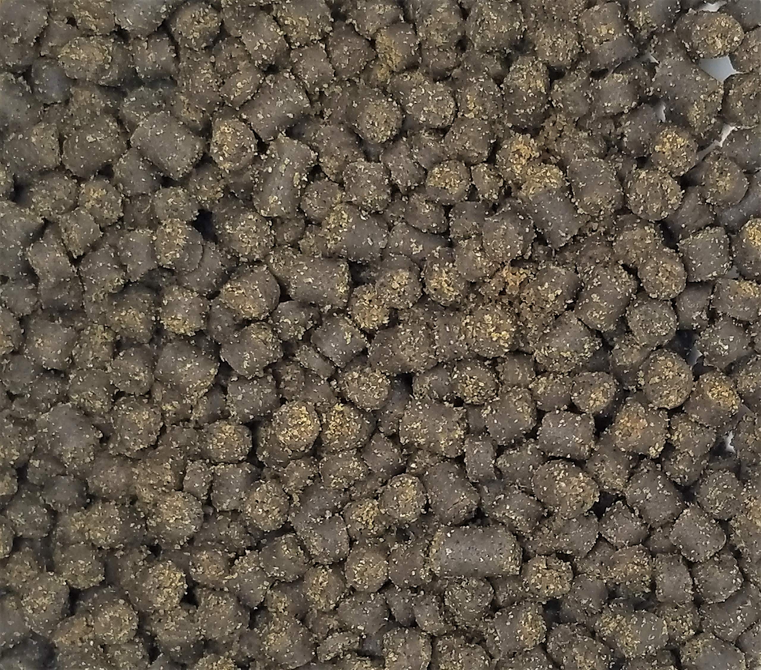 Invert Aquatics nouveau look, nourriture de haute qualité pour amphibiens.