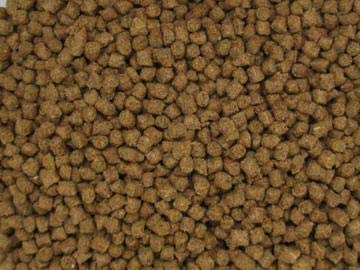 NutriSpheres Invert Aquatics – petits pellets adaptés aux crevettes et escargots