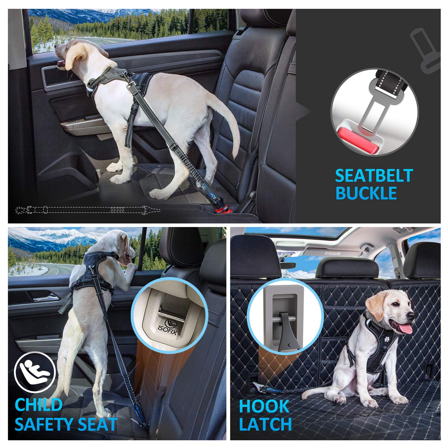 IOKHEIRA bandes réfléchissantes augmentant la visibilité du chien en route