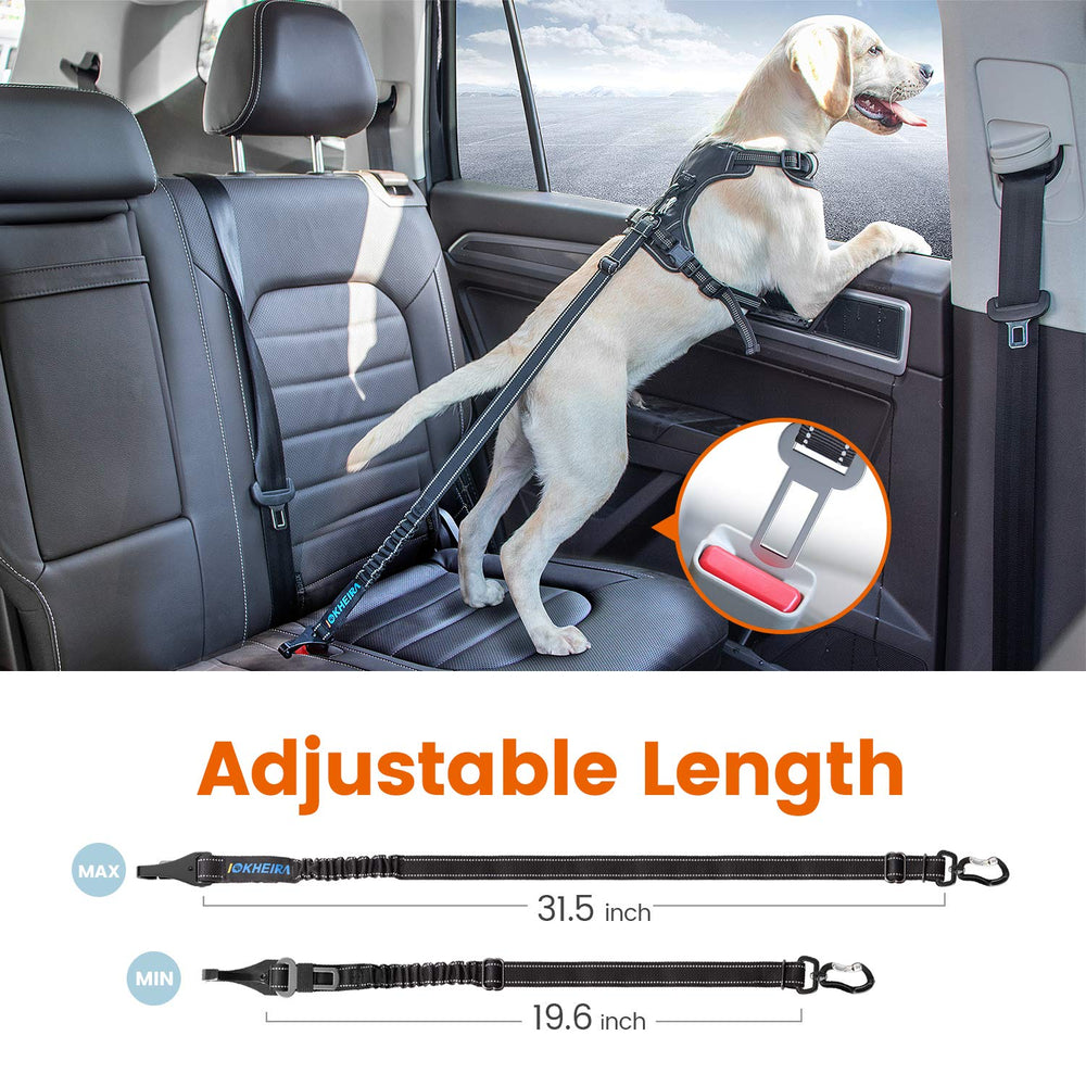 IOKHEIRA conduite voiture securite chien contribue à des trajets plus sereins et sécurisés.