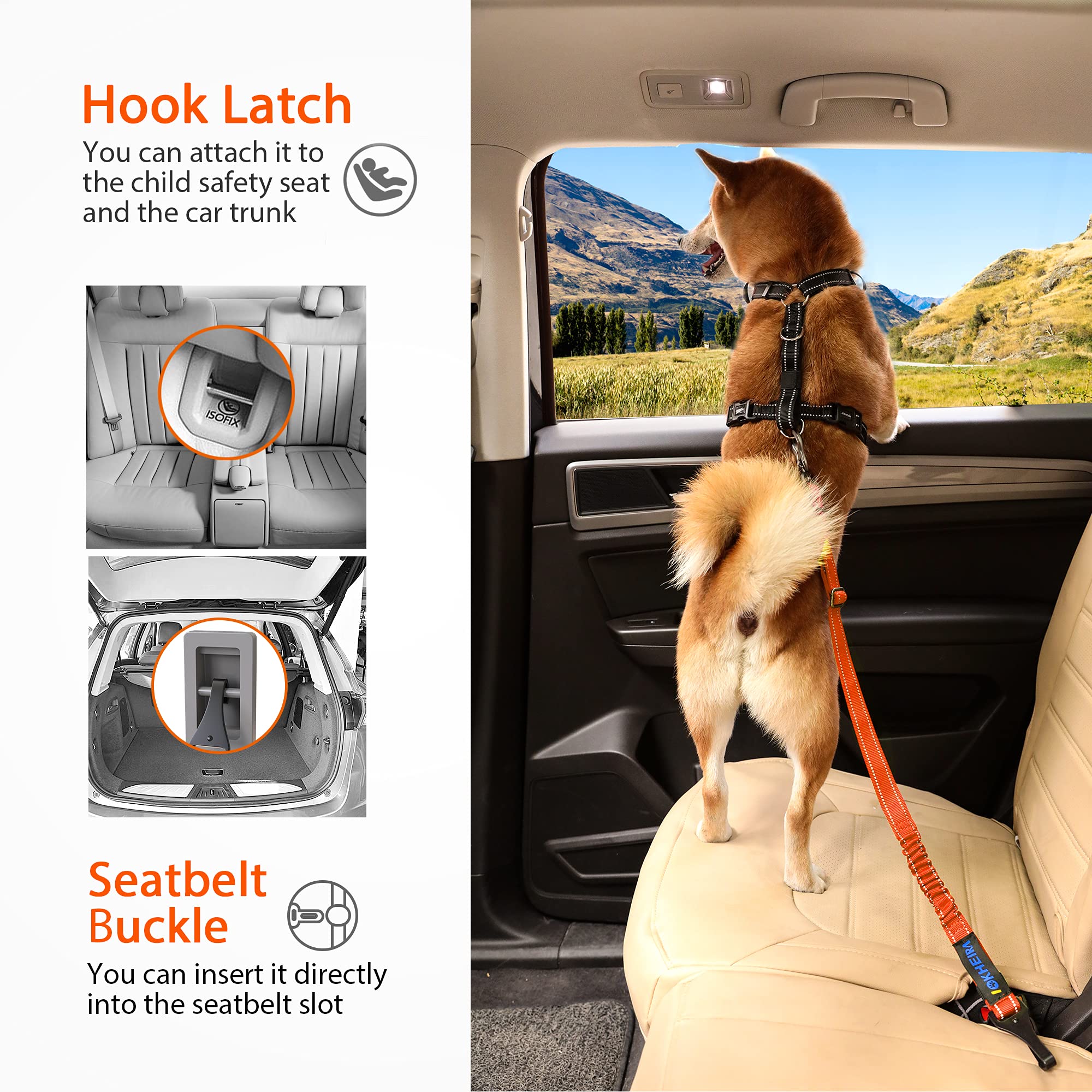 IOKHEIRA Orange: confort quotidien, transport facile du chien.