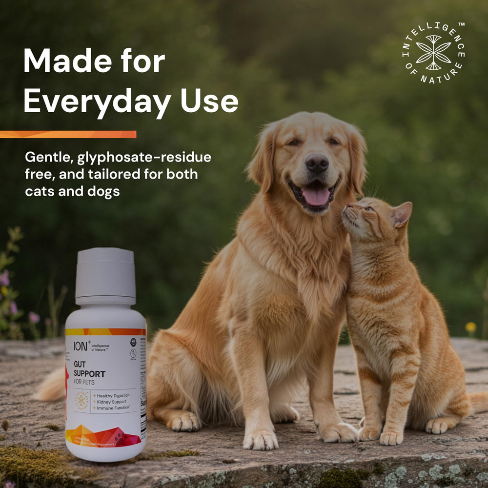 ION* Intelligence of Nature, flacon-gouttes, utilisation quotidienne pour chiens et chats.