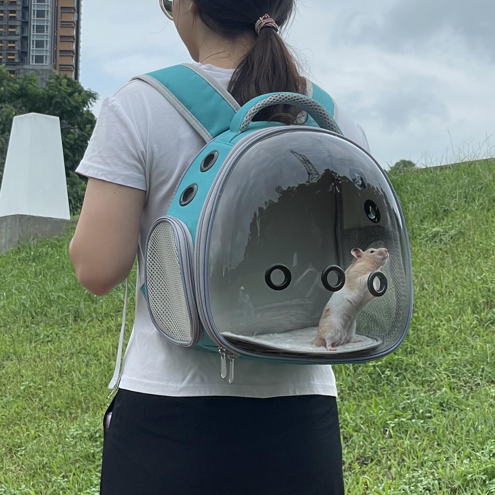 Ioview sac-a-dos-animaux-portable léger, facile à transporter.