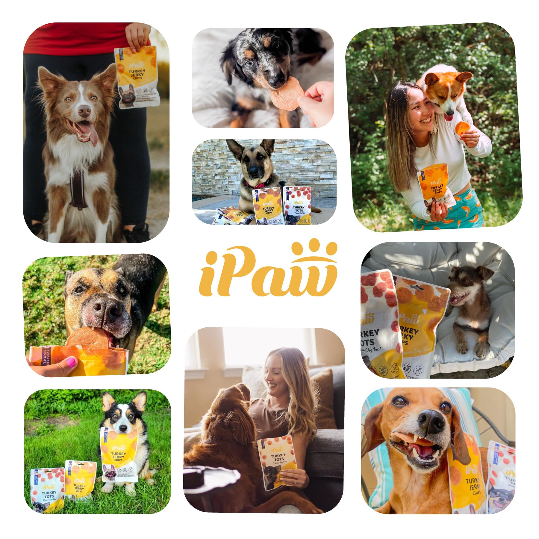 iPaw alimentation facile pour chiots : récompense adaptée à tous les âges.
