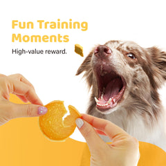 iPaw chips de dinde : goût savoureux et digestion facilitée pour chiens sensibles.