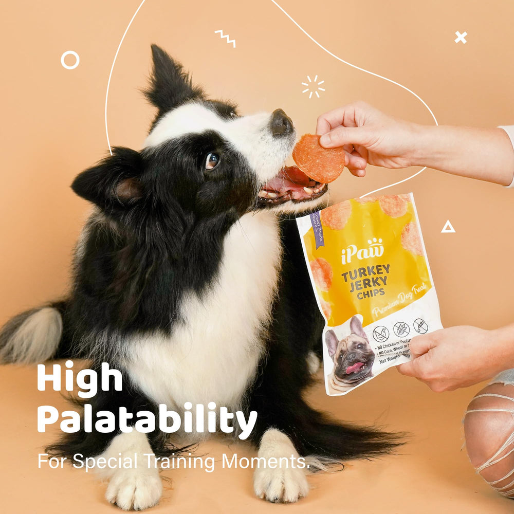 iPaw chips de dinde : sans céréales, option adaptée aux estomacs sensibles.