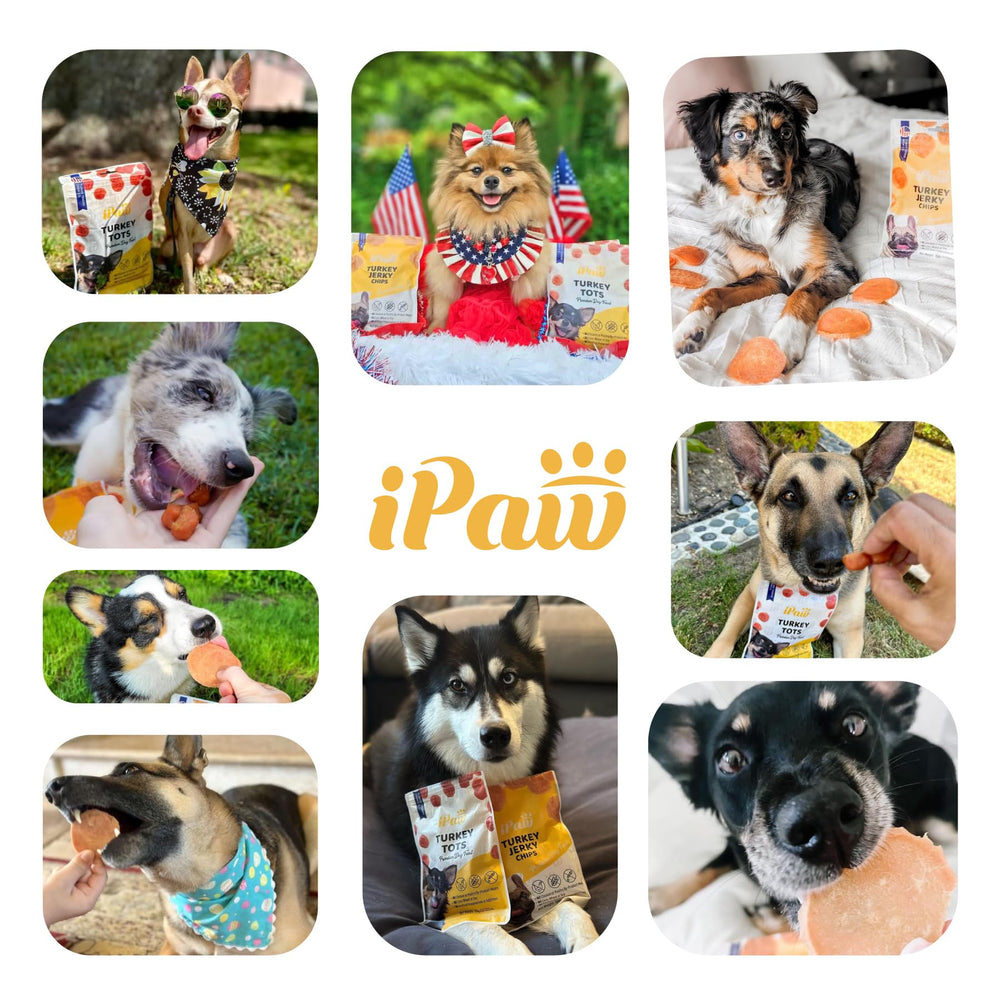 iPaw Chips Poulet – idéal pour l’entraînement à la maison